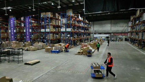 強(qiáng)信心 開新局 跨境電商 加速跑 直擊上海港進(jìn)出口商品中轉(zhuǎn)倉